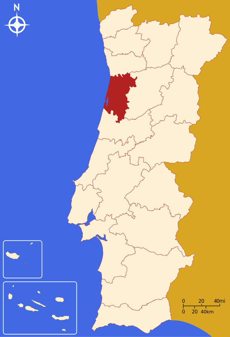 Concelhos De Aveiro